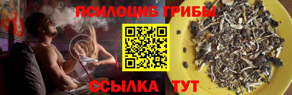 Камышлов  Галлюциногенные грибы MAGIC MUSHROOMS  Вход с VPN 