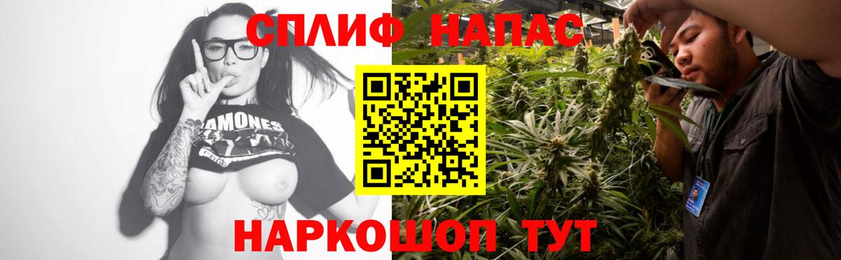 Бошки марихуана LSD WEED  Каннабис LSD WEED  Камышлов  Шишки марихуана MAZAR  Вход с VPN 